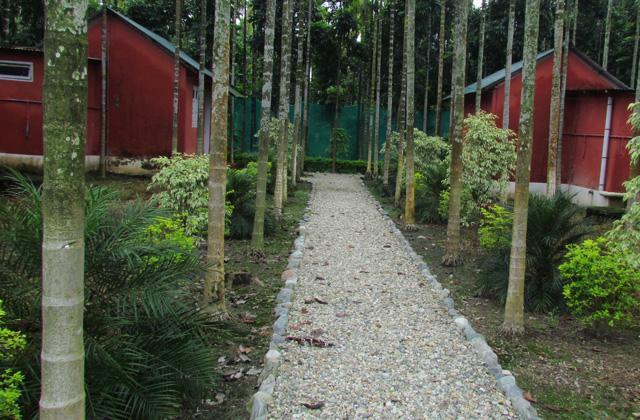 Resort Jayanti Hills Jungle Camp Rajabhat Khawa Dış mekan fotoğraf