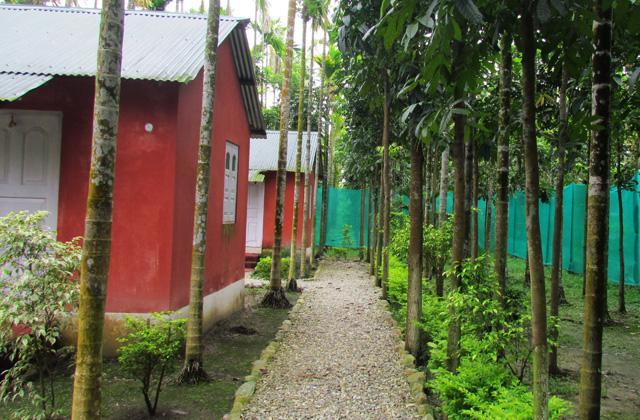 Resort Jayanti Hills Jungle Camp Rajabhat Khawa Dış mekan fotoğraf