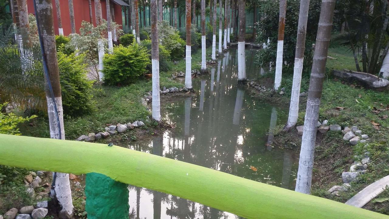 Resort Jayanti Hills Jungle Camp Rajabhat Khawa Dış mekan fotoğraf